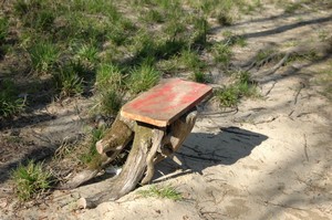 Banc tronc d'arbre