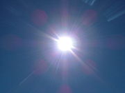 Avis de grand soleil (source : Wikipedia)